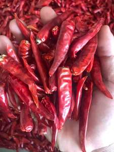 Piments rouges séchés en vrac, qualité A, épice naturelle pour l'exportation mondiale, les services alimentaires et le traitement industriel - Product Image 4