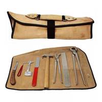 Kit d'outils de maréchal-ferrant pour le soin des sabots en vente en gros
