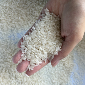 ARROZ CALROSE de alta calidad, granos medianos, en presentaciones de 1kg, 5kg, 10kg, 25kg, 50kg, precios competitivos, marca privada (Joice) - Product Image 4