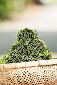 Offre Spéciale Vietnam-Made 100% ensemble de boissons de pailles d'herbe naturelle boîte d'accessoires de barre de haute qualité emballée pour l'exportation - Product Image 6
