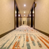 Moquette d'usine de luxe pour couloir d'hôtel, moquette murale pour hall d'entrée et salon