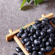 Haricot noir entier naturel pur pour un soutien immunitaire et une nutrition propre à base de plantes - Product Image 4