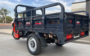 Meilleure vente de tricycle motorisé à essence Rickshaw/Bajaj/Auto Taxi Tricycles passagers Tuk - Product Image 3