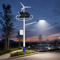 Lampadaire LED hybride solaire-éolien double alimentation, étanche IP65 avec contrôleur MPPT intelligent et batterie LiFePO4 pour routes et jardins