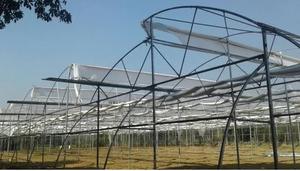 Cadre galvanisé par polyhouse vert en forme de dôme pour le modal israélien d'agriculture biologique d'environnement contrôlé - Product Image 3