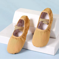 Sepatu Balet Profesional BAIFA, Kulit Lembut, Sol Terpisah, Nyaman dan Dapat Diulur, untuk Anak-anak dan Dewasa, Lapisan Kanvas, Warna Dapat Disesuaikan