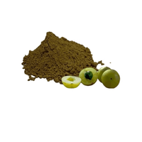 Wild Organic Natuurlijk Amla Fruitpoeder Hanuman Traders Top Kwaliteit Zijdezacht Verfrissend Haarconditioner Extract