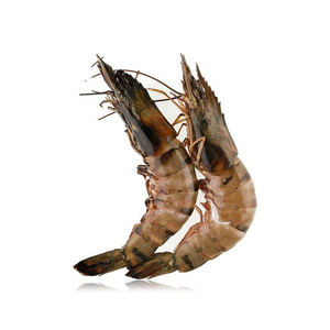 Camarones Tigre Negros Enteros, Mariscos Premium, Suministro al por Mayor, Alta Calidad, Cultivados en Granja, Grado de Exportación, Fuente Confiable - Product Image 3