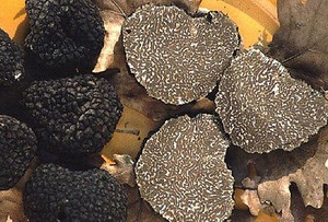 Trufa Negra Seca en Rodajas de Alta Calidad - Product Image 2