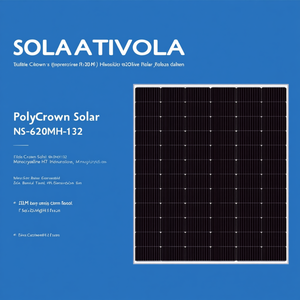 Panneau solaire monocristallin HJT bifacial PolyCrown Solar NS-620MH-132 600W pour usage industriel - Product Image 2