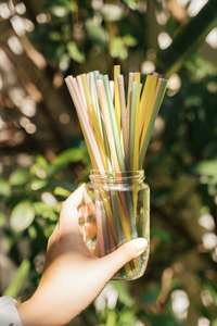 Pailles en riz comestibles écologiques pour l'exportation - Sûres, durables et sans plastique - Product Image 4