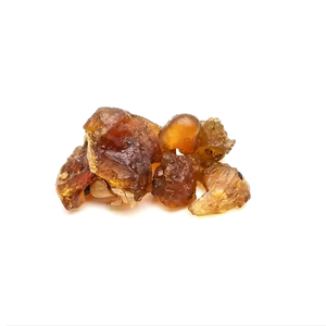Commiphora Mukul (Guggul) Extracto de resina Guggul Extracto en polvo Guggul Resina Venta al por mayor Commiphora Mukul Extracto de incienso en polvo - Product Image 1