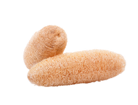 Tranches de pot-pourri de luffa écologiques pour décoration intérieure/extérieure, idéales pour la Saint-Valentin, les remises de diplômes et le Nouvel An chinois