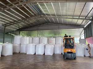 CASQUILLO CRUDO PARA ALIMENTOS ANIMALES CON PRECIO COMPETITIVO DE VIETNAM - Product Image 3