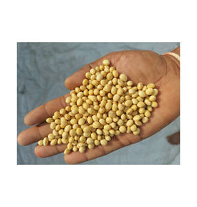 Soja NON-GMO récolte de soja de haute qualité en gros - Product Image 6