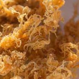 100% ธรรมชาติ, ดิบ: ทะเลมอส/ไอริชมอส-Wildcrafted/ตัวอย่างใช้ได้เสมอ/ - Product Image 6