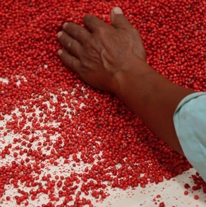 VANILLE HARVEST Grains de poivre rose de Madagascar (Baies Roses) Qualité supérieure Récolte sauvage Emballage sous vide 99% de pureté Baies séchées 24 - Product Image 2