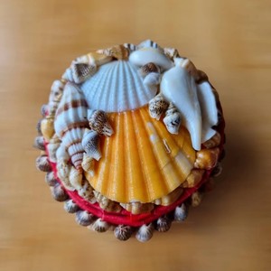 Caja de embalaje de joyería de viaje, Cajas de Regalo con conchas de mar naturales de océano y forro de terciopelo rojo - Product Image 3