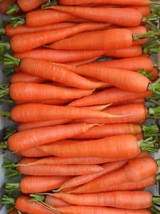 Vietnam Sweet <b>Fresh</b> Carrot Exporter Premium Quality High Vitamin Organic <b>Vegetable</b> for Global Market - Product Image 5