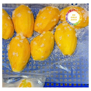 Tranches de mangue surgelées naturelles IQF Mangue mûre Fraîchement coupée Haute qualité Vente en gros Exportation du Vietnam - Product Image 6