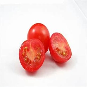 Tomate fraîche biologique disponible à des prix abordables - Product Image 2