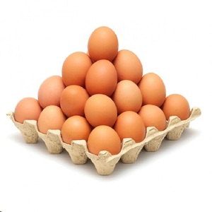 Œufs de poule bruns de qualité supérieure à vendre en vrac, œufs de poule frais naturels à vendre à un prix compétitif - Product Image 3