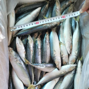 Precio bajo de fábrica Iluminación Captura Pescado de tierra BQF Caballa Congelada Caballa del Pacífico 8-12 pcs/kg - Product Image 4
