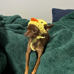 Sombrero de ganchillo Sombrero para gato o perro pequeño accesorios de animales, disfraz de sombrero de Mascota de Vietnam HOANG LINH SG Kimy + 84938616690 - Product Image 4