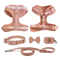 Ensemble de promenade rembourré pour animaux de compagnie avec harnais en nylon réglable, collier, laisse, nœud papillon et porte-sac à déjections pour chiens de différentes tailles