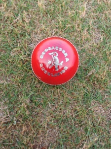 Nuevo cuero superior de alta calidad Kookaburra 156G máquina Stitch Cricket Balls - Product Image 6