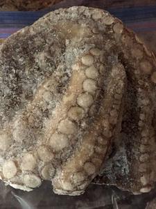 Poulpe congelé à vendre de la Norvège - Product Image 3