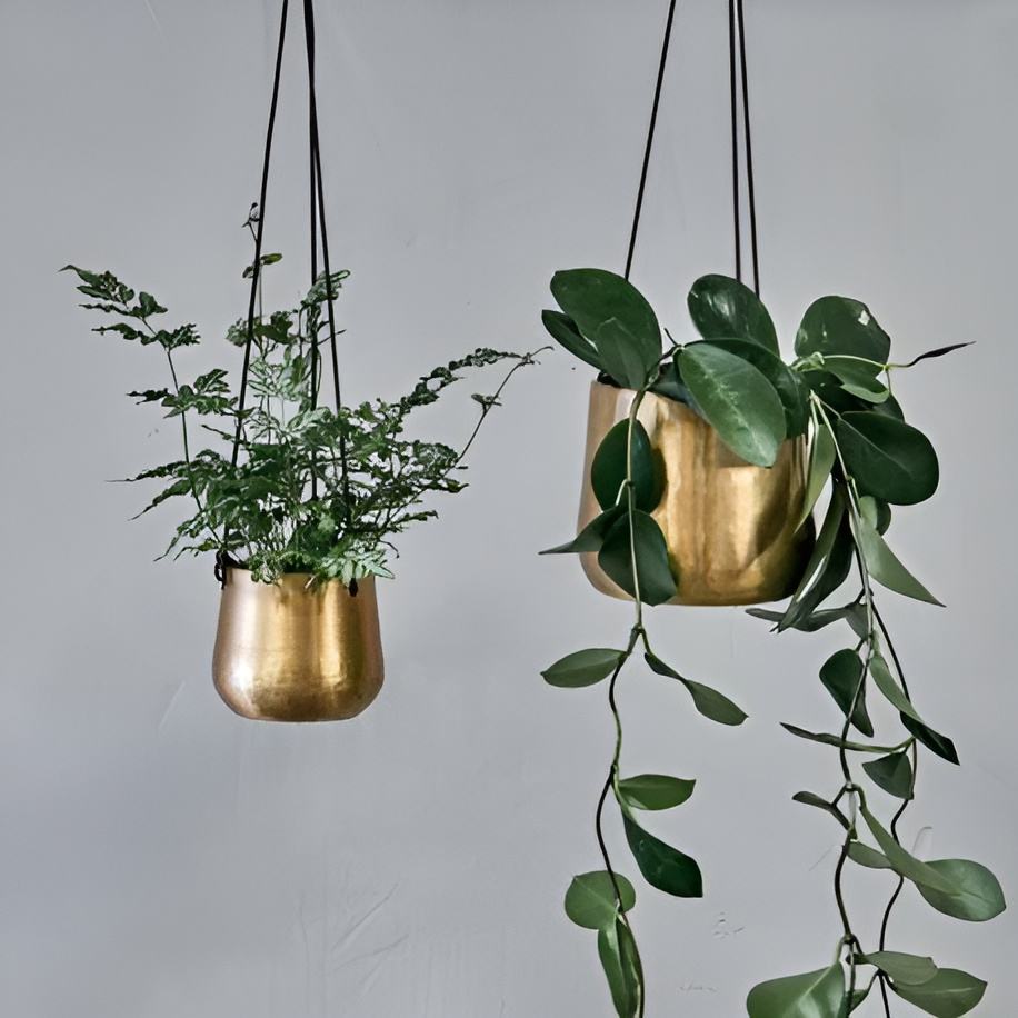 ตามที่แสดง