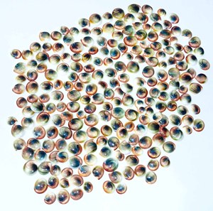 Calidad Natural Shiva Eye Loose Gemstone Cabochon Loose Gemstone Venta al por mayor Lot Mix Shape and Fine Gemstone Use Fabricación de joyas - Product Image 2