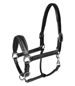 Cabestro de Cuero Inglés Hecho a Mano de Alta Calidad con Herrajes Plateados, Colores de Cuero Surtidos, para Exhibiciones - Product Image 5