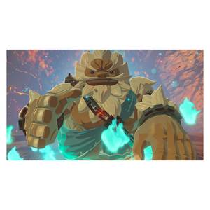 PEGI 12+ Switch Zelda Breath of the Wild Videojuego Juegos Portátiles 2520049 - Product Image 5