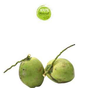 มะพร้าวสดเวียดนาม - รสหวานเข้มข้นแบบทรอปิคอล - Product Image 5