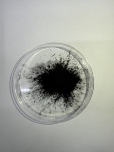 Coras Độ Tinh Khiết Cao 99.9% Hoạt Động Cathode Nmc 811 Nickel Mangan Coban Hydroxide Bột Hóa Chất Phụ Trợ Đại Lý Cho Lithium Ion - Product Image 4