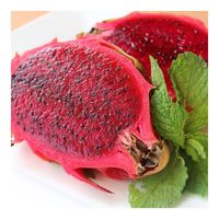 Biologisch Vers Drakenfruit In Vietnam Goedkope Prijs-100% Pure Geen Ingrediënten Topverkoop Vietnam Landbouw Vers Fruit