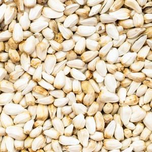 Semillas de Cártamo Blanco Secas Cultivadas en India, Cultivadas Salvajes a Precio Mayorista - Product Image 4