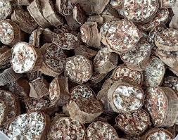 REBANADAS DE PLÁTANO SILVESTRE/ETIQUETA LIMPIA/BASADA EN PLANTAS/SECAS NATURALMENTE - Product Image 6