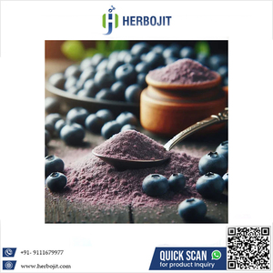 Extracto de Arándano Silvestre Orgánico en Polvo Liofilizado Natural, Suministro de Fábrica, 100% Natural, Saborizante para Bebidas a Buen Precio - Product Image 6