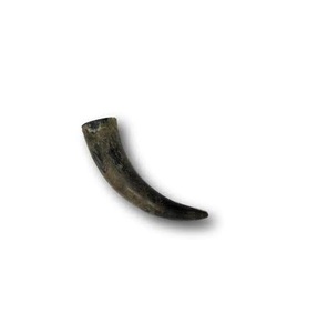 Obtenez une corne de bœuf/buffle de bonne qualité, design élégant, corne pour le stockage de poudre et produit en vente chaude - Product Image 6