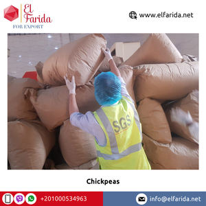 Garbanzos amarillos orgánicos de alta calidad, especias secas saludables a granel, exportación directa desde Egipto - Product Image 6