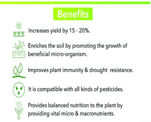 100% Extracto orgánico de algas marinas Líquido Exportadores indios Acelerador de crecimiento de plantas hecho naturalmente con bajo olor - Product Image 4