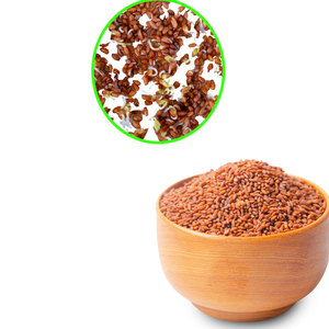 Cress | Saveur forte et lisse | Utilisé dans les sandwichs sains - Product Image 6