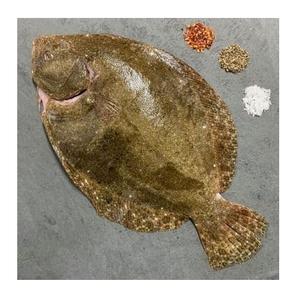 Wholesale Price Supplier Whole Wild Turbot (Frozen) - Product Image 4