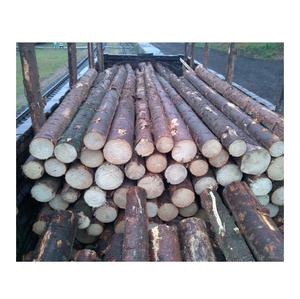 Grumes d'épicéa rondes fraîchement coupées écorcées avec d'autres types de bois Teck Pin Eucalyptus Bouleau Hêtre - Product Image 2