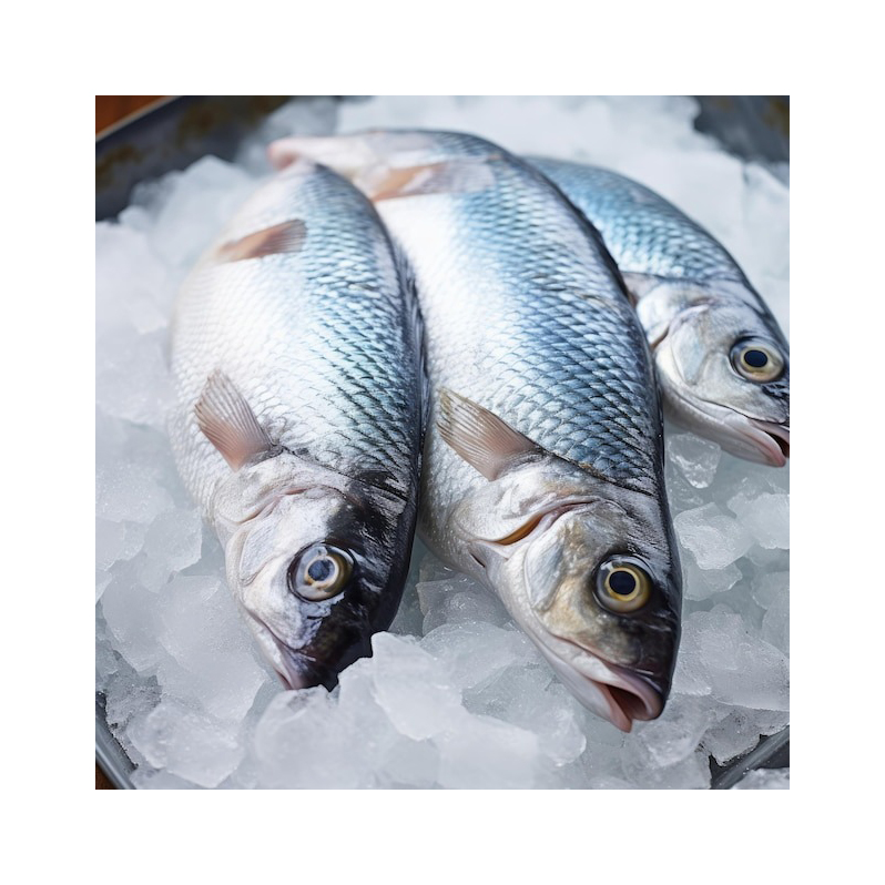 300 свежих морепродуктов-500 г замороженного тунца-Бонито для рынка