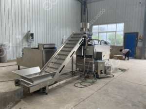 Fried Puffed Food <b>Seasoning</b> <b>Processing</b> Machinery Double Drum Oil Sprayer Snack Chips Flavoring <b>Machine</b> - Product Image 4