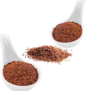 Cress | เหมาะสำหรับการตกแต่งอาหาร | สดใหม่และมีชีวิตชีวา - Product Image 2